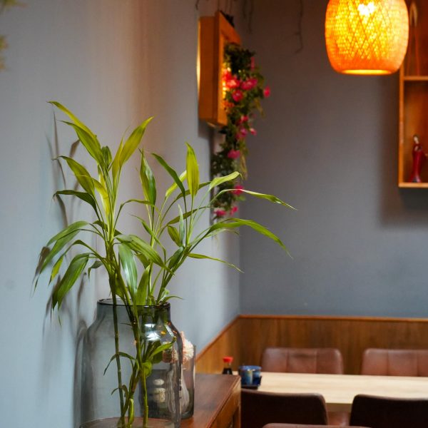 WhatsApp Image 2026-03-06 at 22.00.22 (1)