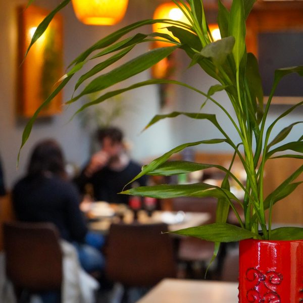 WhatsApp Image 2026-03-06 at 22.00.22 (3)