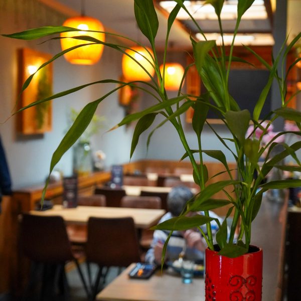 WhatsApp Image 2026-03-06 at 22.00.24 (1)